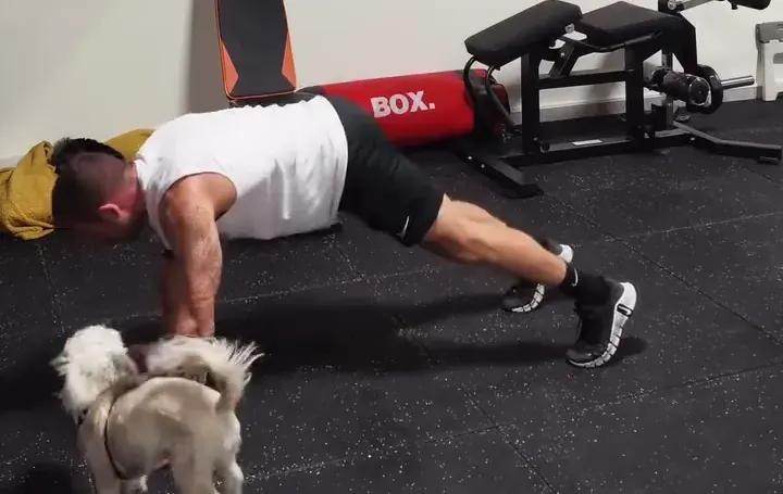 O Rui a fazer flexões no treino das 6h30, com a cadela ao lado